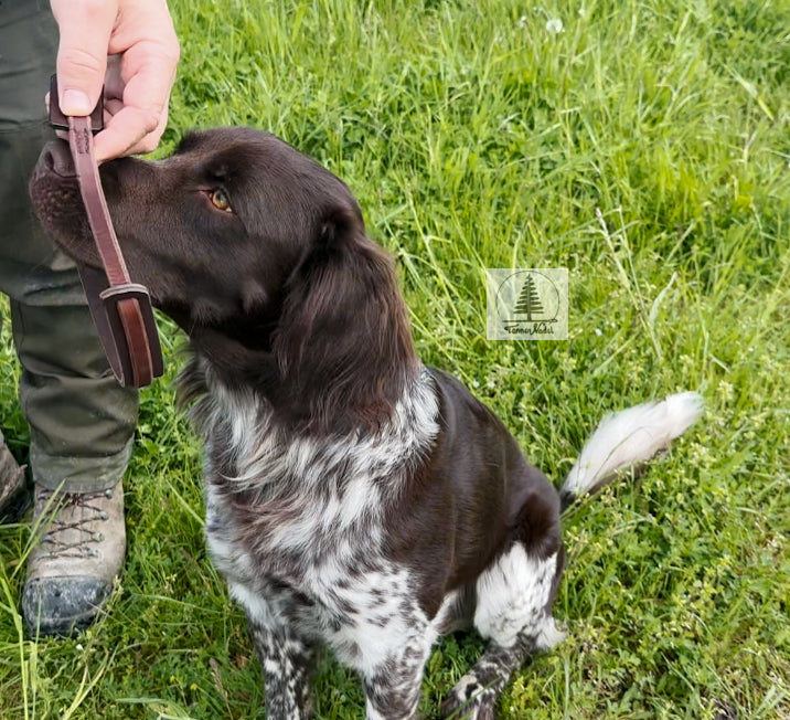 Lautlose Pirschleine aus Leder