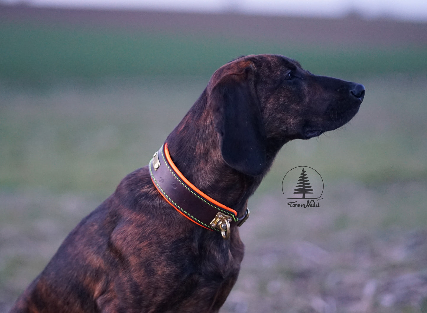 Schweißhalsung „Suchenheil“