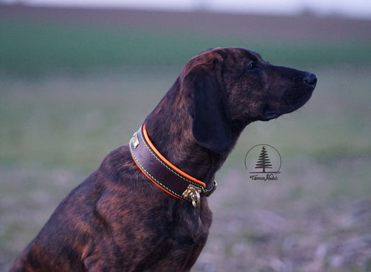 Schweißhalsung „Suchenheil“