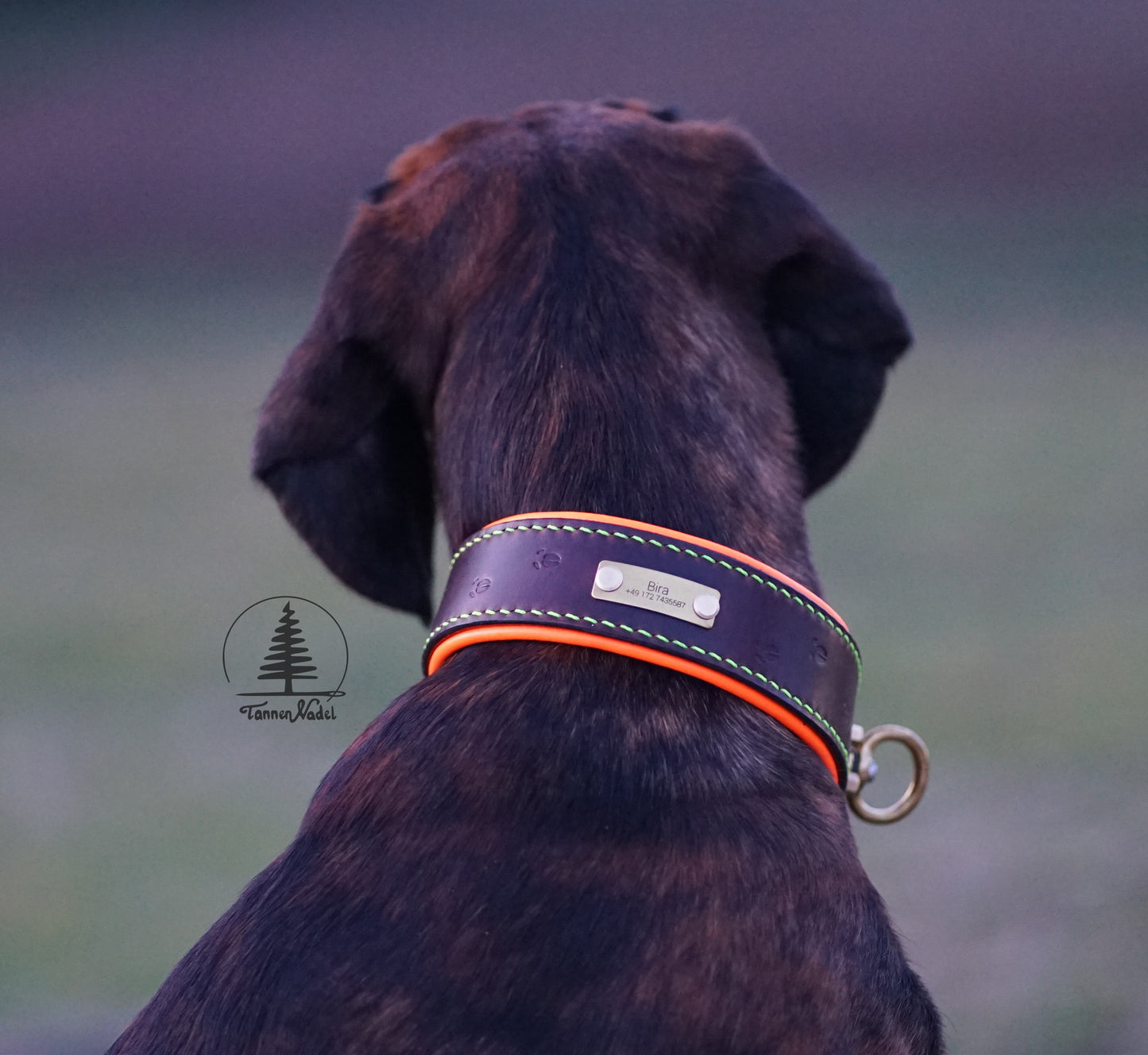 Schweißhalsung „Suchenheil“