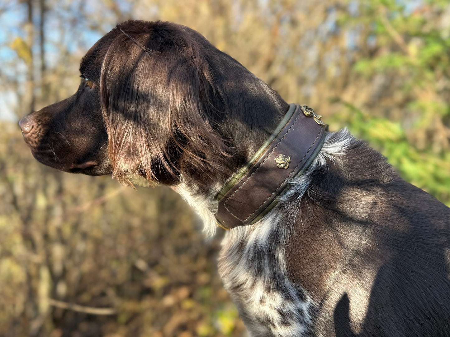 Lederhalsung „Platzhirsch“