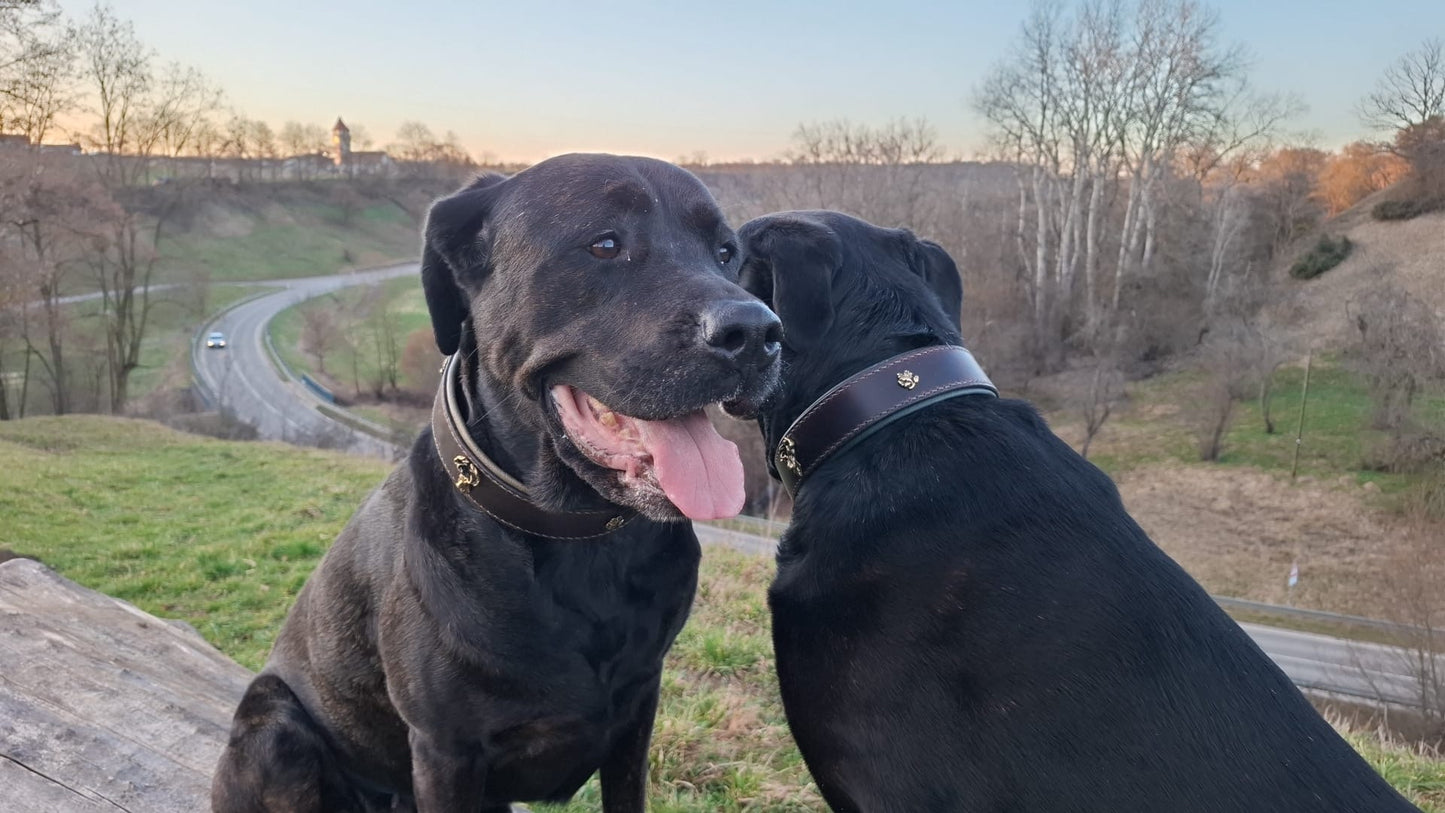 Lederhalsung „Platzhirsch“