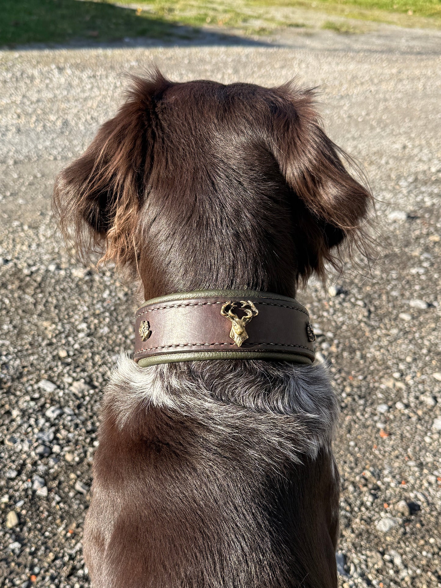 Lederhalsung „Platzhirsch“