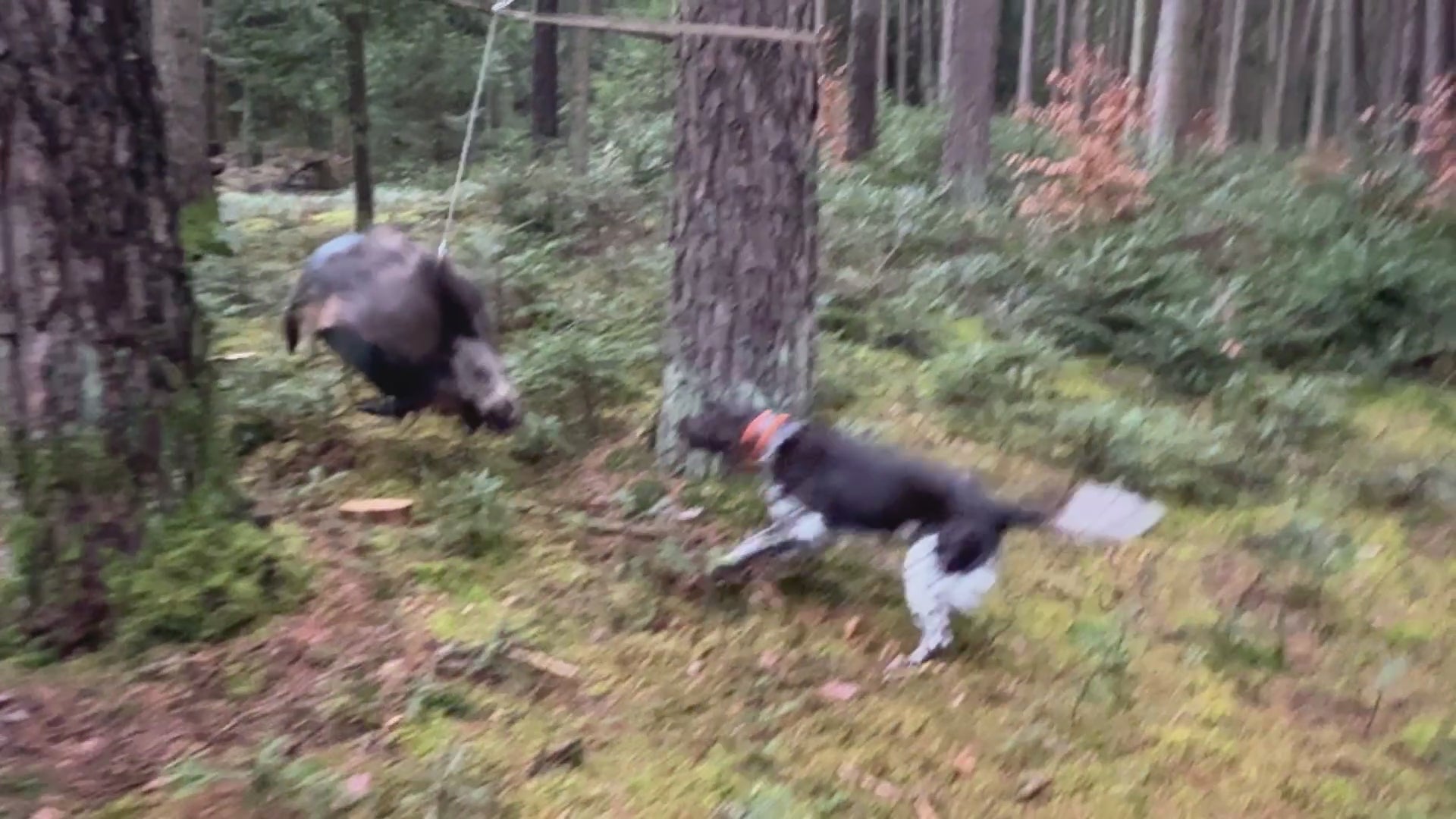 Video laden: 